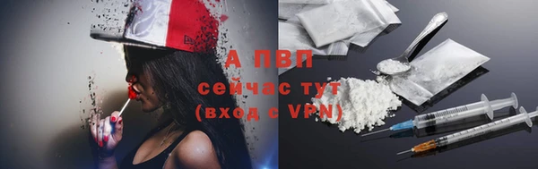 спиды Белокуриха