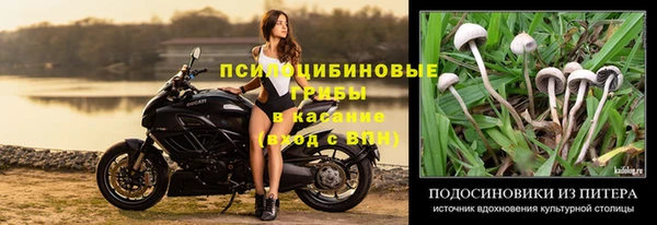 спиды Белокуриха