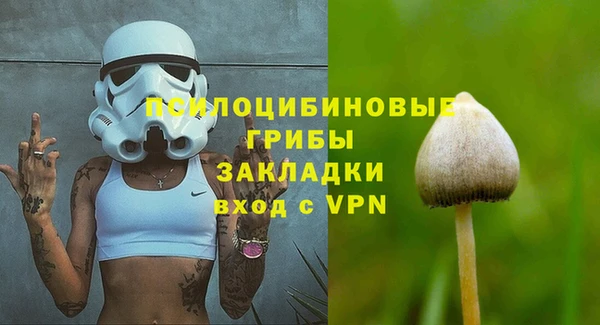 спиды Белокуриха